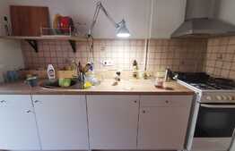 Apartament cu 2 camere, 50 de mp, pet friendly, zona Parcului Central