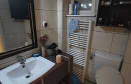 Apartament cu 2 camere, 50 de mp, pet friendly, zona Parcului Central