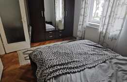 Apartament cu 2 camere, 50 de mp, pet friendly, zona Parcului Central