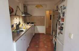 Apartament cu 2 camere, 50 de mp, pet friendly, zona Parcului Central