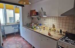 Apartament cu 2 camere, 50 de mp, pet friendly, zona Parcului Central