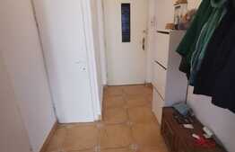 Apartament cu 2 camere, 50 de mp, pet friendly, zona Parcului Central