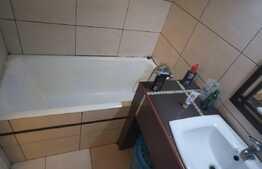 Apartament cu 2 camere, 50 de mp, pet friendly, zona Parcului Central