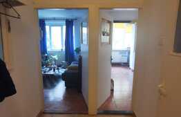 Apartament cu 2 camere, 50 de mp, pet friendly, zona Parcului Central