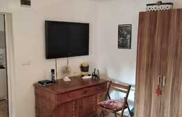 Apartament 1 camera, 45 mp, gradina 100 mp, zona Piata Engels