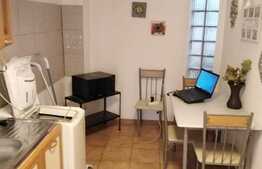 Apartament 1 camera, 45 mp, gradina 100 mp, zona Piata Engels