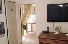 Apartament 1 camera, 45 mp, gradina 100 mp, zona Piata Engels