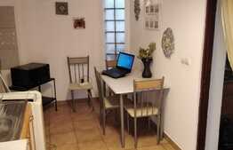 Apartament 1 camera, 45 mp, gradina 100 mp, zona Piata Engels