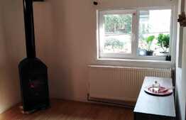 Apartament 1 camera, 45 mp, gradina 100 mp, zona Piata Engels