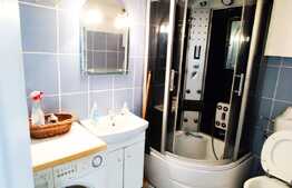 Apartament 1 camera, mobilat utilat, 27mp + boxa, zona Piata Muzeului