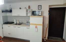 Apartament 1 camera, mobilat utilat, 27mp + boxa, zona Piata Muzeului