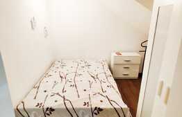 Apartament 1 camera, mobilat utilat, 27mp + boxa, zona Piata Muzeului