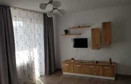 Apartament 2 camere decomandat, 53.5mp, Corneliu Coposu, Dambu Rotund