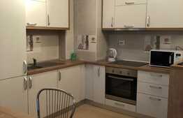 Apartament modern de inchiriat, 55 mp, Complex Rezidential Viva City
