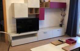 Apartament modern de inchiriat, 55 mp, Complex Rezidential Viva City