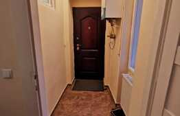 Garsoniera ultracentrala, 30 de mp,  zona Parcului Central