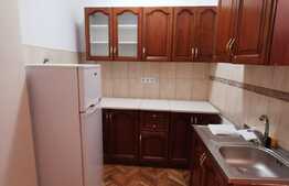 Garsoniera ultracentrala, 30 de mp,  zona Parcului Central