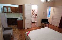 Garsoniera ultracentrala, 30 de mp,  zona Parcului Central