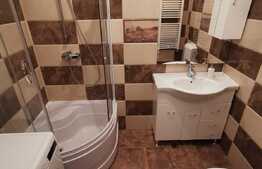 Garsoniera ultracentrala, 30 de mp,  zona Parcului Central