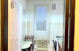 Apartament 2 camere, parcare, pet friendly, 48mp, zona strazii Snagov, zona Iulius Mall