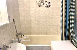 Apartament 2 camere, parcare, pet friendly, 48mp, zona strazii Snagov, zona Iulius Mall