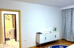 Apartament 2 camere, parcare, pet friendly, 48mp, zona strazii Snagov, zona Iulius Mall