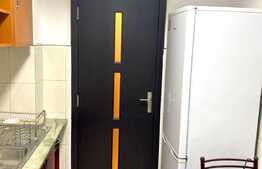 Apartament 2 camere, parcare, pet friendly, 48mp, zona strazii Snagov, zona Iulius Mall