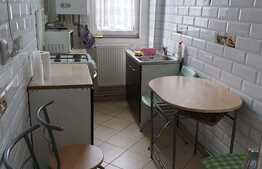 Apartament 2 camere, decomandata, 50 mp, zona strazii Bucium, Pet friendly