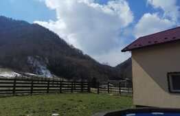 Cabana de vanzare la munte, 10 camere, ideala pentru investitie!