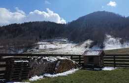 Cabana de vanzare la munte, 10 camere, ideala pentru investitie!