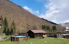 Cabana de vanzare la munte, 10 camere, ideala pentru investitie!