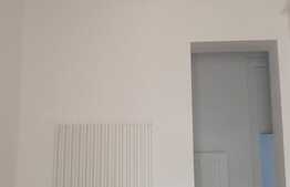 Reducere de pret! Apartament in centru tavan inalt, proaspat renovat. Investitie sigura