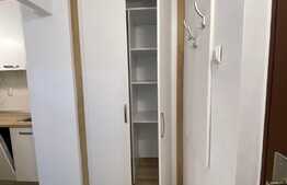 Apartament 1 camera, 35 mp, totul nou, zona strazii N. Titulescu