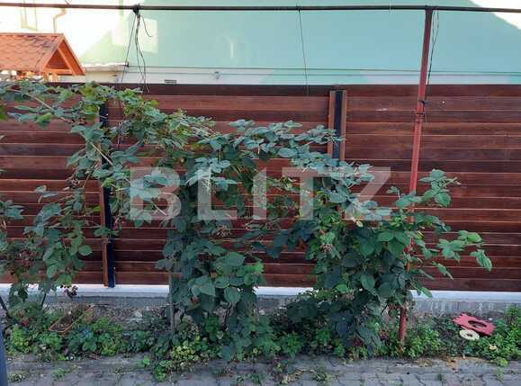 Casa de vânzare 3 camere Iris - 57726CV | BLITZ Cluj-Napoca | Poza13