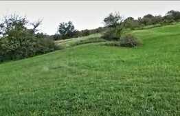 Teren intravilan ,4039 mp,in cartierul Borhanci