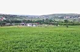 Teren intravilan ,4039 mp,in cartierul Borhanci