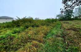 Teren 2410mp, intravilan Feleacu, cu autorizatie de constructie pentru 4 case  