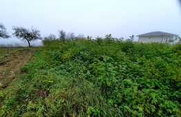 Teren 2410mp, intravilan Feleacu, cu autorizatie de constructie pentru 4 case  