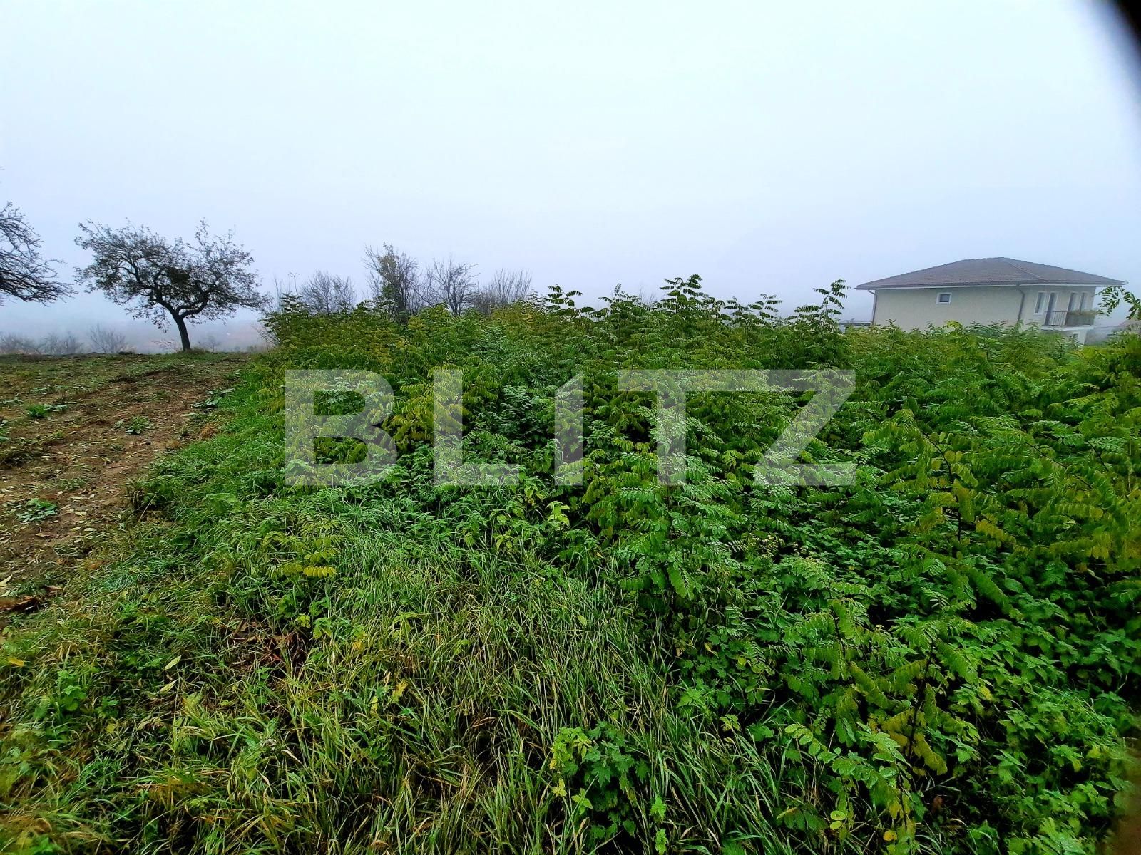 Teren de vânzare Feleacu - 57734TV | BLITZ Cluj-Napoca | Poza16