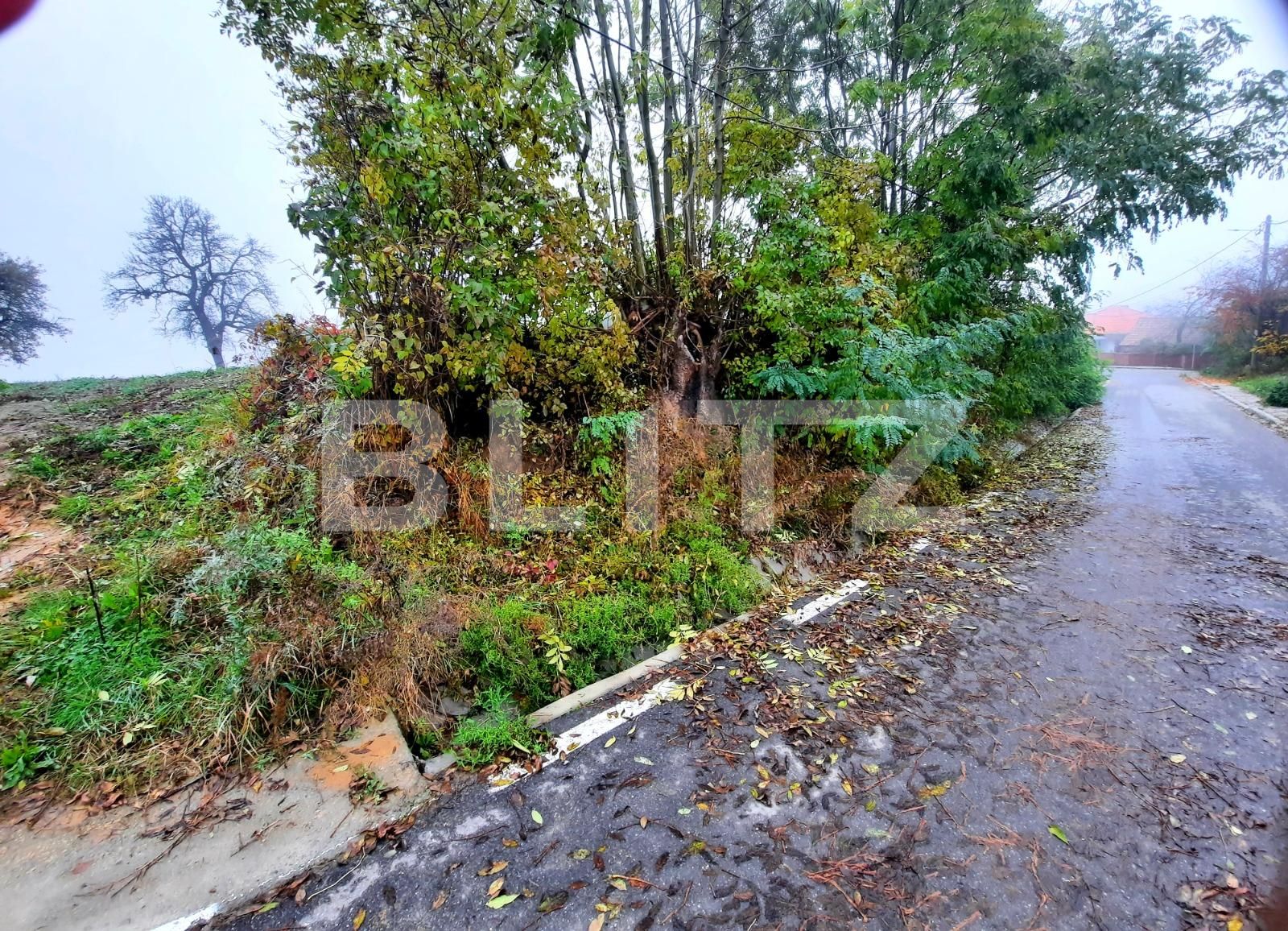 Teren de vânzare Feleacu - 57734TV | BLITZ Cluj-Napoca | Poza15