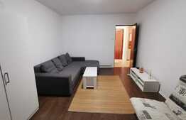 Apartament 2 camere, decomandat, 54 de mp, pet friendly, zona Golden Tulip