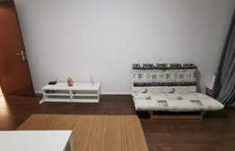 Apartament 2 camere, decomandat, 54 de mp, pet friendly, zona Golden Tulip