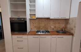 Apartament 2 camere, decomandat, 54 de mp, pet friendly, zona Golden Tulip