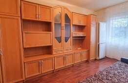 Investitia IDEALA , 22 mp, zona Calea Baciului