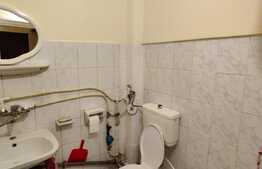 Investitia IDEALA , 22 mp, zona Calea Baciului