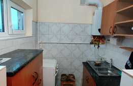 Investitia IDEALA , 22 mp, zona Calea Baciului