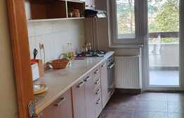 Apartament cu 6 camere, 180 mp, 4 balcoane, zona P-ta Engels 