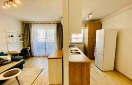 Apartament 1 camere, 40 mp, terasa, parcare, zona Vivo