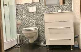 Apartament cu 2 camere, 56 mp, balcon, totul nou, zona Platinia