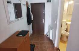 Garsoniera decomandata, 34 de mp, pet friendly, zona UMF